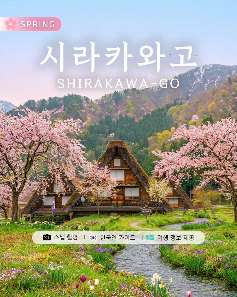DSLR 사진촬영 서비스 포함, 나고야 일일 버스 투어로 특별한 추억을