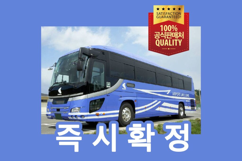 성인 대상, 간사이공항에서 난바 이동을 위한 편도 리무진 버스 티켓