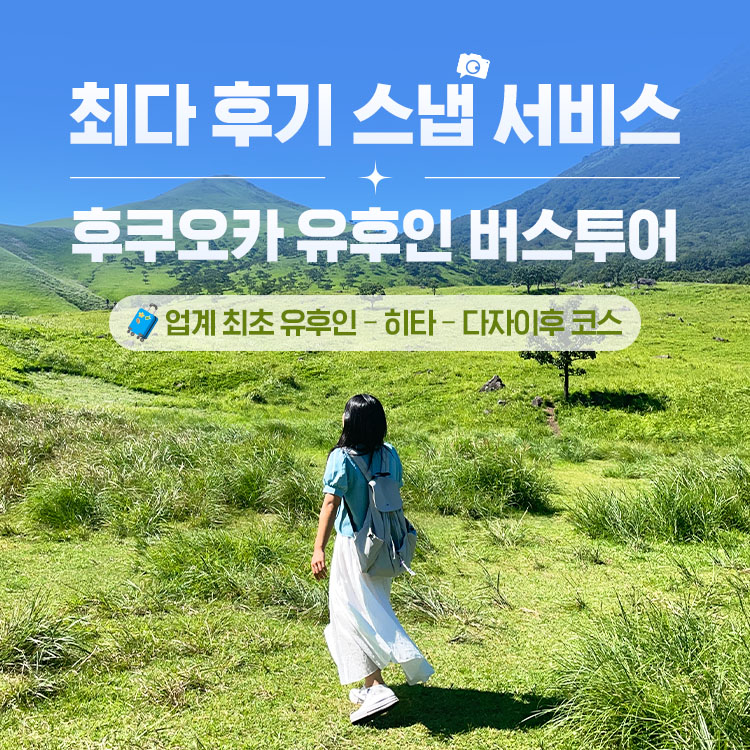 후쿠오카 근교 투어, 인기와 할인율로 돋보이는 선택지