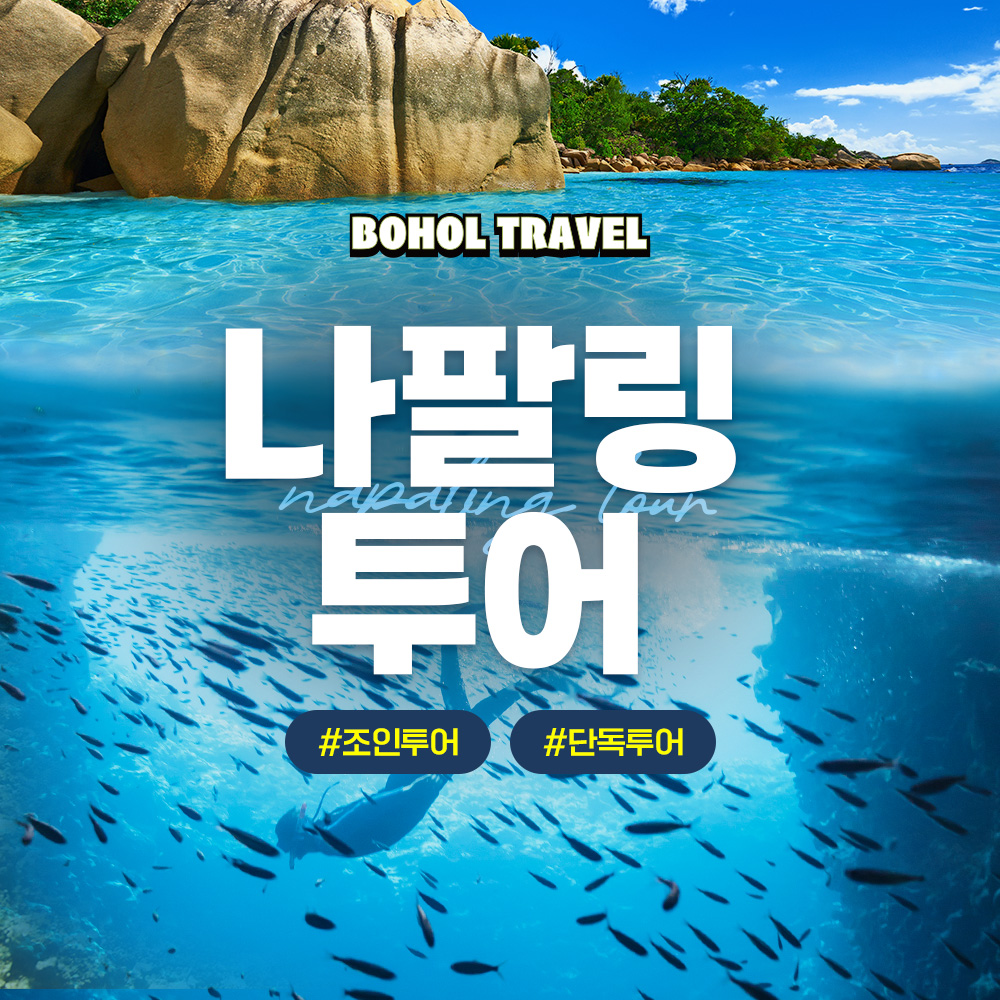 보홀 투어 패키지: 스노클링, 프리다이빙 체험을 찾는 여행객을 위한 선택