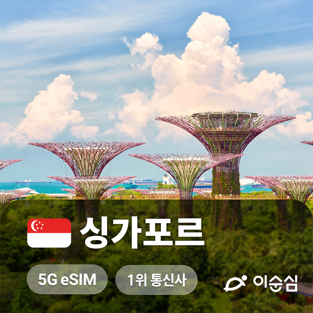 싱가포르이심 eSIM: 주요 특징 및 비교 요소